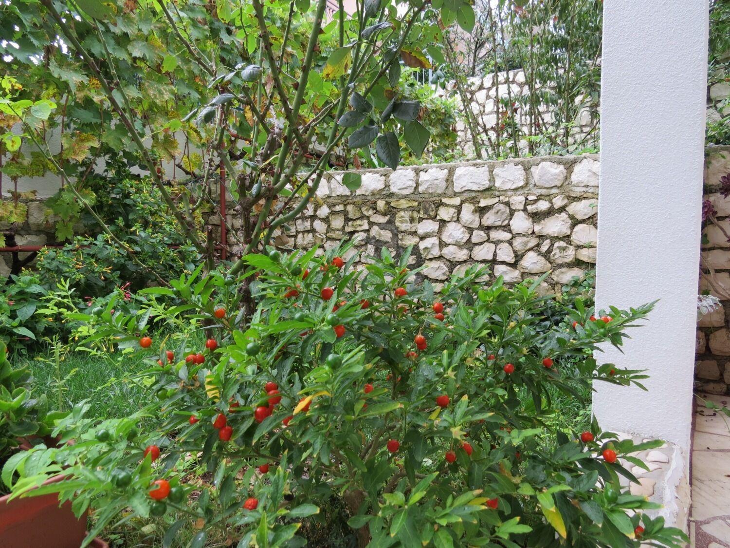 Apartment Bubi Trogir Eksteriør billede